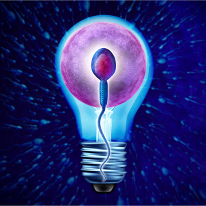 Add a subheading (7)